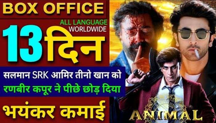 Animal Box Office Collection Day 13