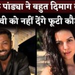 Natasha Stankovic cannot claim Hardik Pandya's property, you will be shocked to know the reason