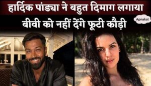 Natasha Stankovic cannot claim Hardik Pandya's property, you will be shocked to know the reason