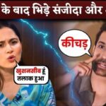 Aamir Ali Reply Ex-Wife Sanjeeda Shaikh Throwing Shade On Him After DIVORCED