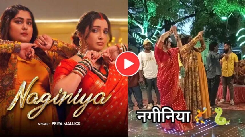 Amrapali Dubey's dance video which went viral on social media, see what happened