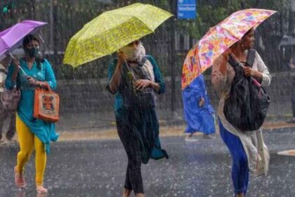 IMD's latest update warns of heavy rain and storm in these states