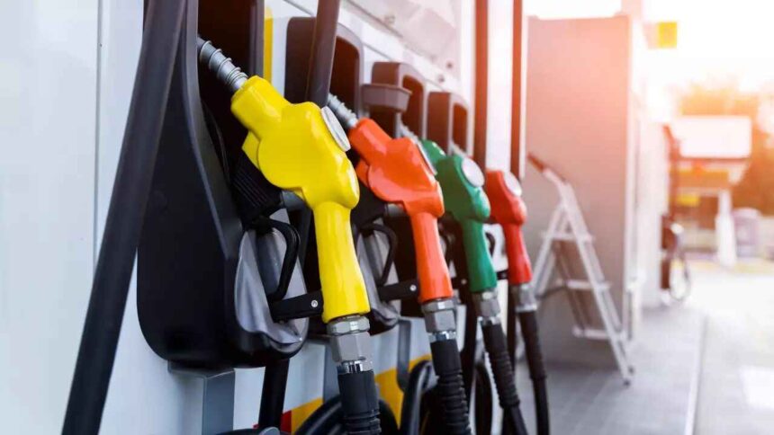 Petrol-diesel prices today No change; petrol in Delhi is at Rs 94.72 per litre, Check Latest Rate