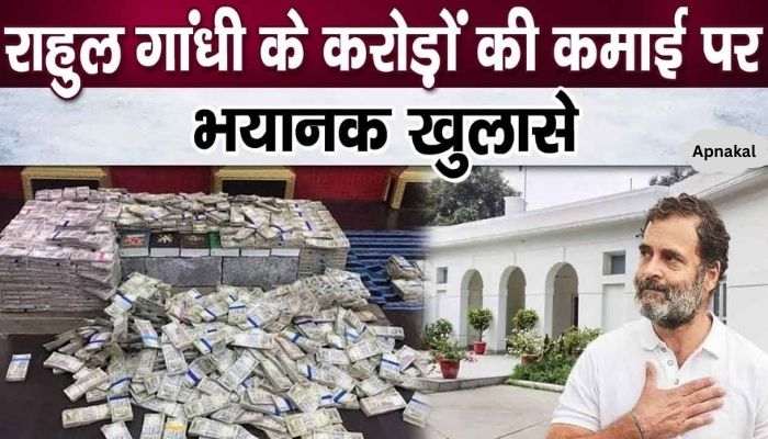 Rahul Gandhi's wealth increased by so many crores within 5 years