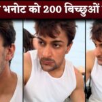 Shalin Bhanot Bitten By 200 Scorpions in Khatron Ke Khiladi 14 While Performing Stunt