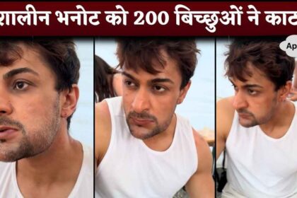 Shalin Bhanot Bitten By 200 Scorpions in Khatron Ke Khiladi 14 While Performing Stunt