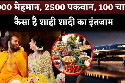 Anant Ambani-Radhika Merchant Wedding 2500 Dishes, 100 Charter Plane And 5000 Guest