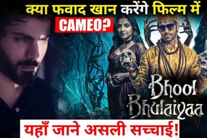 BHOOL BHULAIYA 3 Update