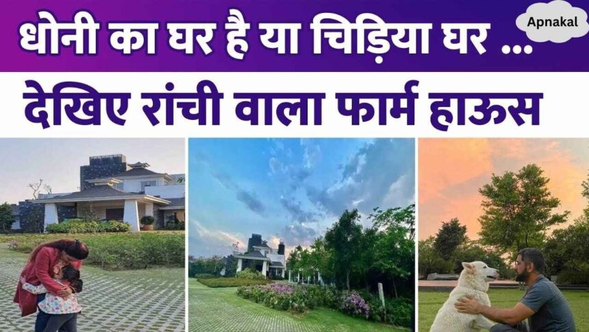 M S Dhoni is the owner of property worth Rs 1040 crore, has a palace of 7 acres in Ranchi