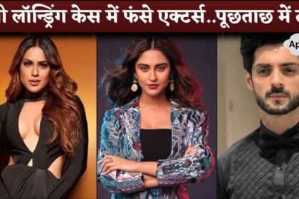 Nia Sharma, Krystle Dsouza & Karan Wahi Summoned By ED In Connection To A Money Laundering Case