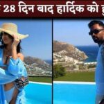 Hardik Pandya Is Dating Jasmin Walia After 28 Days Of His Divorce With Wife Natasa Stankovic