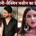 Jasmin Bhasin Break Up With Aly Goni Actress Shares X Post Increase Fans Heartbeat