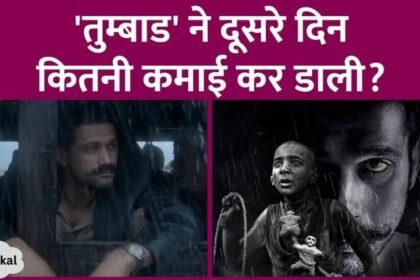 After Laila Majnu, the re-release of Tumbbad also bombed at the box office