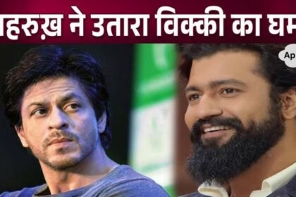 Angry Shahrukh Khan insulted Vicky Kaushal