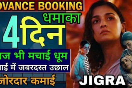 Jigra Box Office Collection Day 14