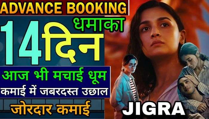 Jigra Box Office Collection Day 14