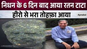 This luxurious gift came in the name of Ratan Tata 6 days after his death