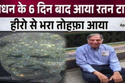 This luxurious gift came in the name of Ratan Tata 6 days after his death