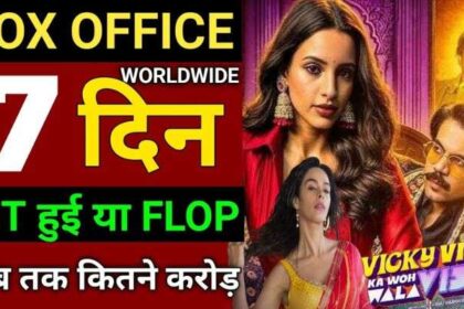 Vicky Vidya Ka Woh Video Box Office Collection Day 7