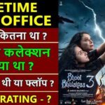 Bhool Bhulaiyaa 3 Lifetime Worldwide Box Office Collection