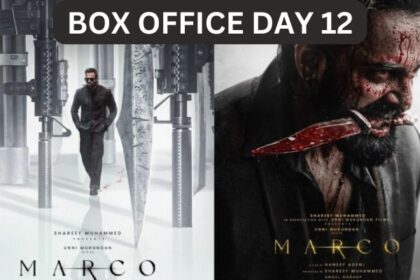 Marco Box Office Collection Day 12