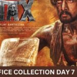 Max Box Office Collection Day 7