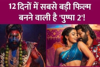 Pushpa 2 leaves behind Animal, Gadar 2, Stree 2, will soon overtake Shah Rukh's film