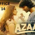 Azaad Box Office Collection Day 14