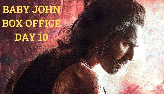 Baby John Box Office Collection Day 10