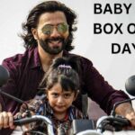 Baby John Box Office Collection Day 13