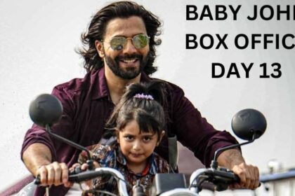 Baby John Box Office Collection Day 13