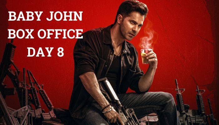 Baby John Box Office Collection Day 8