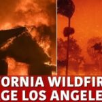 Los Angeles Fire News