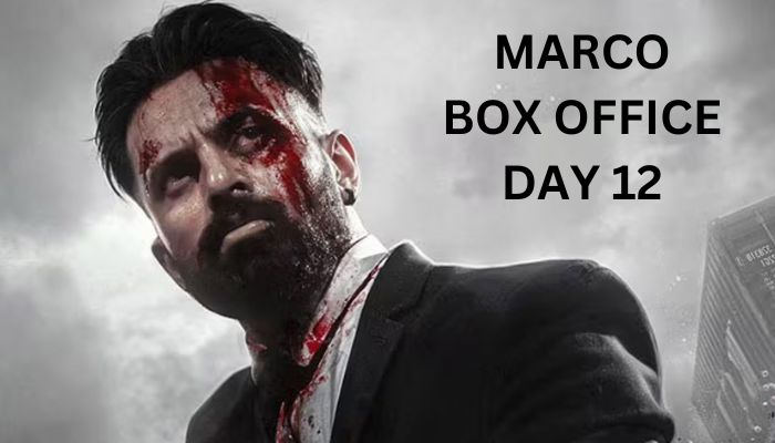 Marco Box Office Collection Day 17