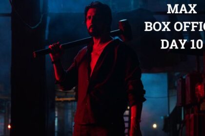 Max Box Office Collection Day 10