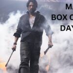 Max Box Office Collection Day 11