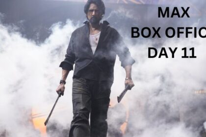 Max Box Office Collection Day 11