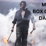 Max Box Office Collection Day 12