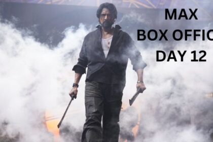 Max Box Office Collection Day 12