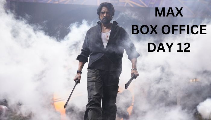 Max Box Office Collection Day 12