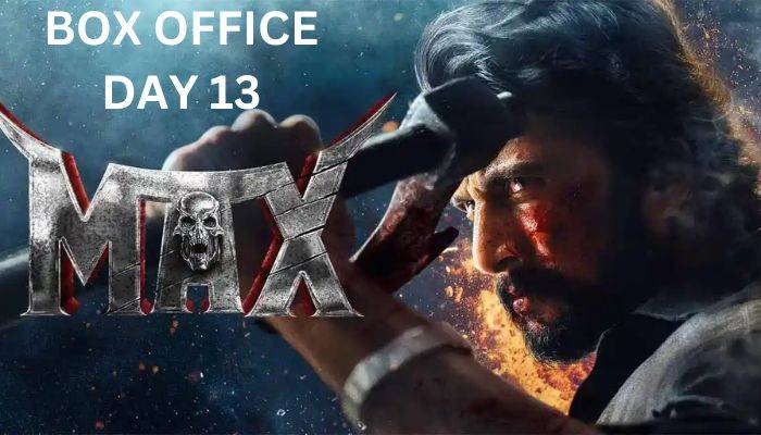 Max Box Office Collection Day 13