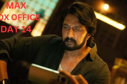 Max Box Office Collection Day 14