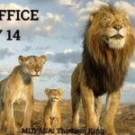 Mufasa The Lion King Box Office Collection Day 14