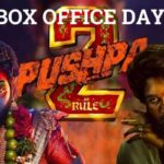 Pushpa 2 Box Office Collection Day 29