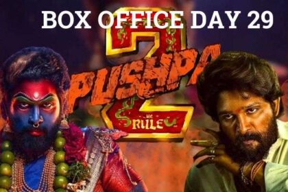 Pushpa 2 Box Office Collection Day 29