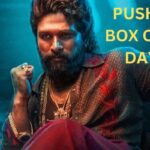 Pushpa 2 Box Office Collection Day 31