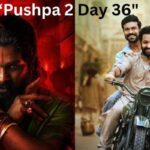 Pushpa 2 Box Office Collection Day 36