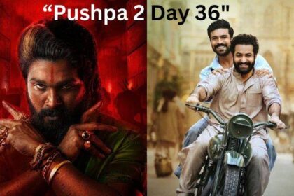 Pushpa 2 Box Office Collection Day 36