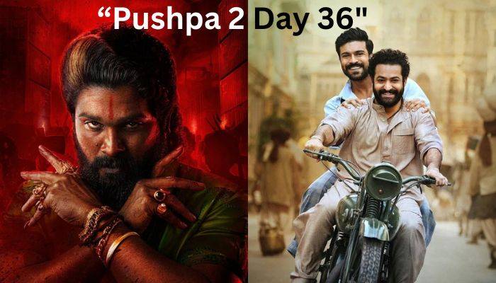 Pushpa 2 Box Office Collection Day 36