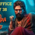 Pushpa 2 Box Office Collection Day 38